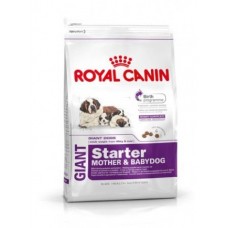 Royal Canin GIANT STARTER для щенков гигантских пород 3 нед-2 мес, беременных и кормящих сук, 4кг (P11114)