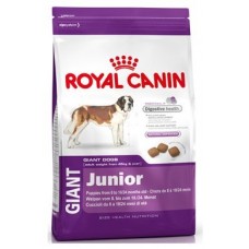 Royal Canin GIANT JUNIOR для щенков крупных пород 8-18/24 мес.
