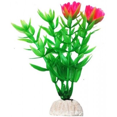 Уют ВК101 Растение Гетерантера зеленая с розовыми цветами 10см (C42808)