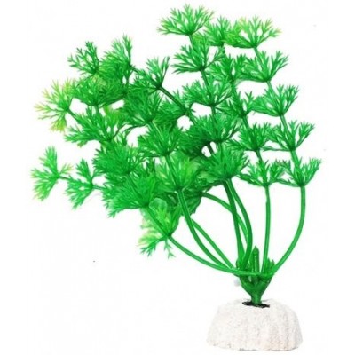 Уют ВК103 Растение Амбулия зеленая 10см (C42792)