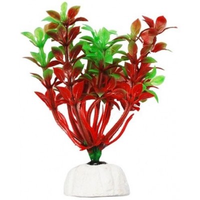 Уют ВК108 Растение Гемиантус красно-зеленый 10см (C42805)