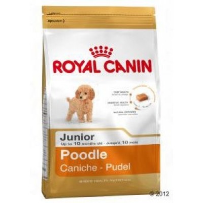 Royal Canin «Poodle Junior» (Пудель Юниор-33) для щенков Пуделя до 10мес., 0.5кг (06056)