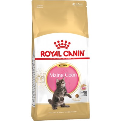 Royal Canin KITTEN MAINE COON корм для котят породы мейн-кун в возрасте до 15 месяцев