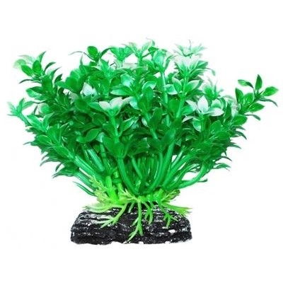 Уют ВК217 Растение Микрантемум зелено-белый 11см (C42814)
