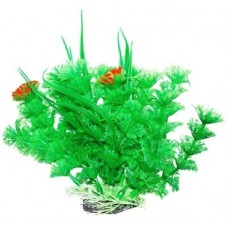 Уют ВК305 Растение Амбулия зеленая с кружевными листьями 12см (C42797)
