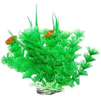 Уют ВК305 Растение Амбулия зеленая с кружевными листьями 12см (C42797)