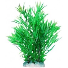 Уют ВК408 Растение Гемиантус зеленый 20см (C42807)