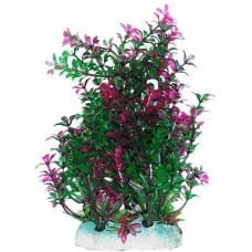 Уют ВК411 Растение Гамфрена зелено-фиолетовая 20см (C42804)