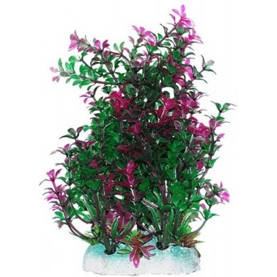 Уют ВК411 Растение Гамфрена зелено-фиолетовая 20см (C42804)