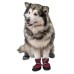 Yami-Yami Обувь для собак утепленная со светоотражающей полосой,  бордовый