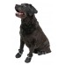 Yami-Yami Обувь для собак со светоотражающей полосой, черный