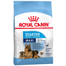 Royal Canin MAXI STARTER для щенков крупных пород 3 нед-2 мес, беременных и кормящих сук