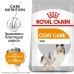 Royal Canin MINI COAT CARE для собак малых пород с тусклой и сухой шерстью